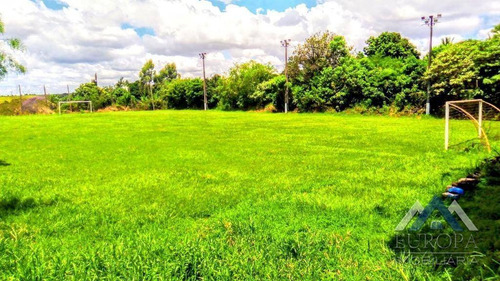 Imagem 7 de 8 de Chácara À Venda, 5000 M² Por R$ 550.000,00 - Dom Pedro I - Londrina/pr - Ch0050