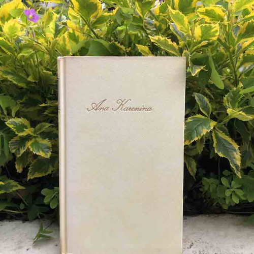 Libro Ana Karenina 1