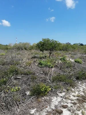 Terreno en venta
