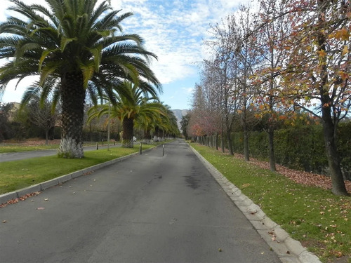 Sitio En Venta En Colina