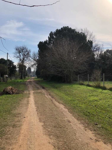Imagen 3 de 7 de Venta Lote Lezica Y Torrezuri