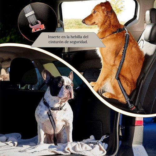 2 Cinturones De Seguridad Ajustables Para Perros - Automóvil
