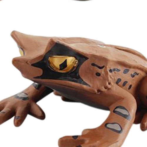 3 Figuritas De Animales Realistas Modelo De De Ranas Estilo