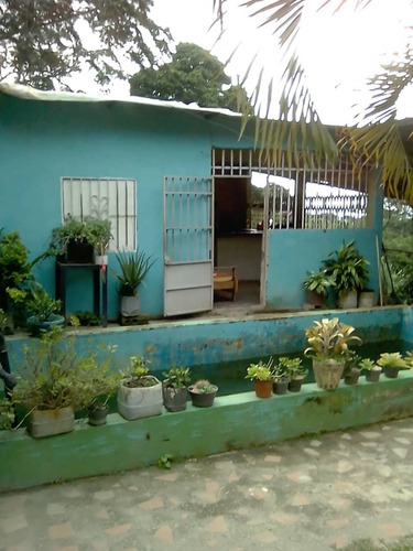 Imagen 6 de 11 de Amplia Y Funcional Finca De 14 Hectáreas En Bejuma - Inmobiliaria Maggi Cod. 866