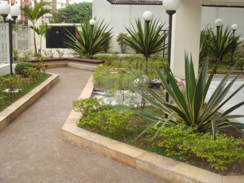 Imagem 19 de 30 de Apartamento De 3 Dorm.e 2 Vagas - Reo32715