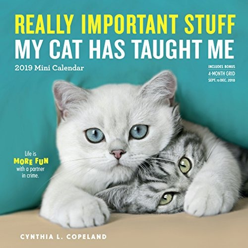 Really Important Stuff My Cat Has Taught Me Mini Calendar 20