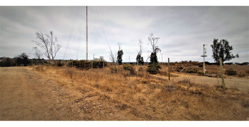 Sitio Plano, Agrícola, De 5.000 M2., En Tabolango, Limache.