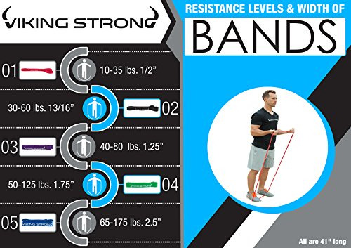 Banda De Resistencia Para Dominadas Viking Strong