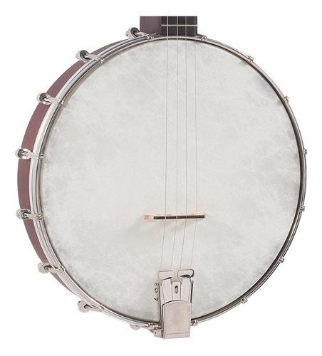 Recording King Rkt-05 Sucio Treinta Tenor Banjo