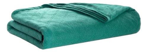 Frazada Palette Urban Dut color verde con diseño liso de 240cm x 230cm