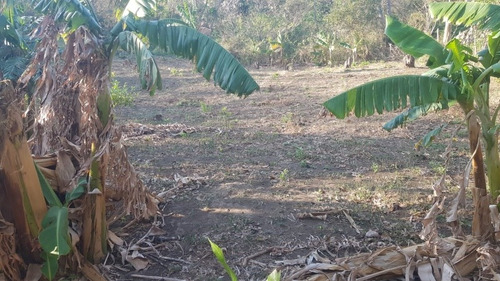 Imagen 29 de 30 de Se Vende Terreno Favorable Con Agua Y Luz Y Casita