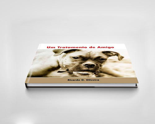 Livro Um Tratamento De Amigo