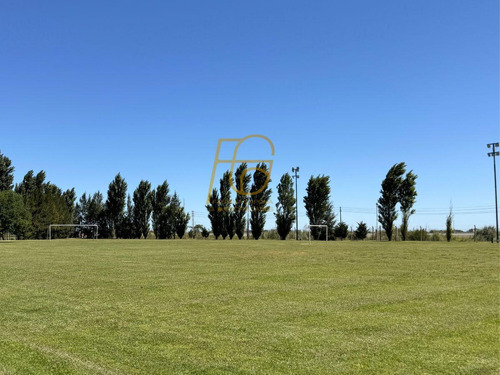 Venta Lote Interno - Lagos De San Eliseo, Canning