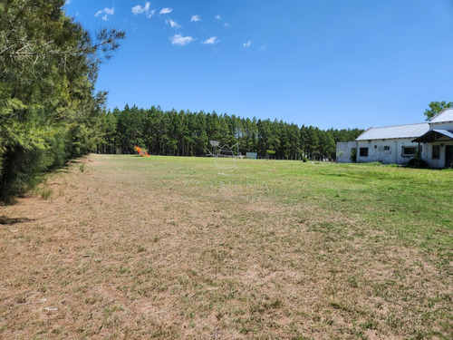 Imagen 3 de 30 de Chacra 5 Hs Con 2 Casas - Consulte !!! - Zona Rural Zona Rural