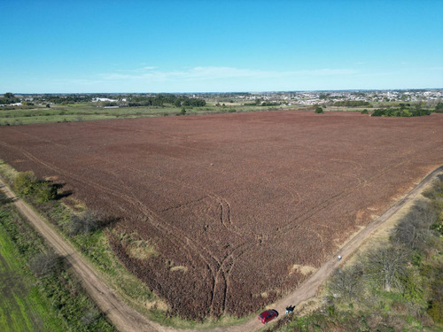 Campo De 37 Ha A Pocas Cuadras Del Cruce De R8 Y R51