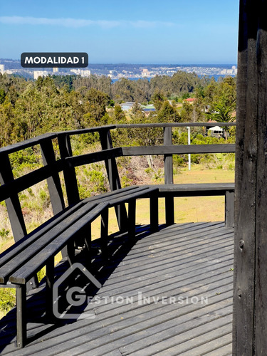 Arriendo Casa Tiny House Algarrobo Norte Mirasol