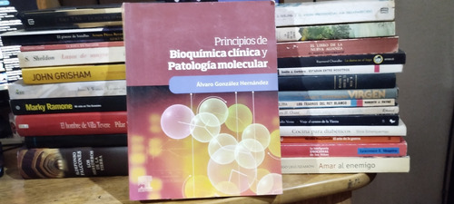 Principios De Bioquimica Clinica Y Patologia Molecular