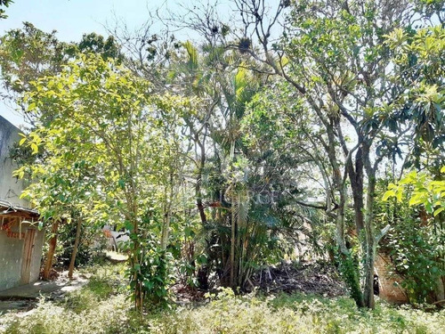 Imagem 3 de 13 de Chácara Rural Na Praia Da Tapera, Florianópolis - . - Ch0002