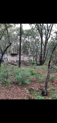 Venta De Lotes