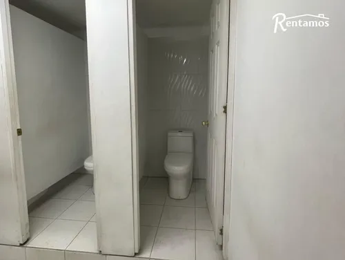 Oficina En Arriendo En Laureles. Cod A11400