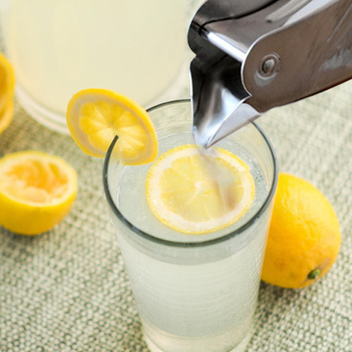 Exprimidor De Limones Pájaro De Acero Inoxidable Prensa Manu