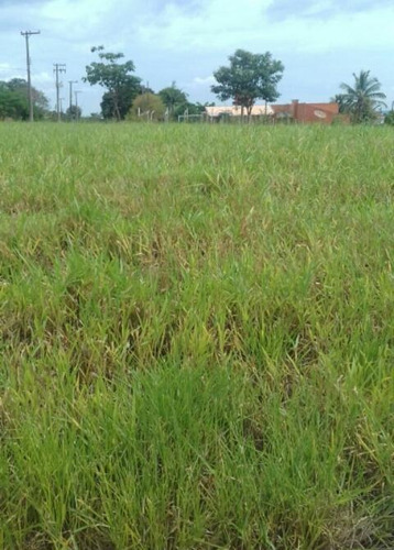 Terreno À Venda, 455 M² Por R$ 50.000,00 - Santa Bárbara Resort Residence - Águas De Santa Bárbara/sp - Te0333