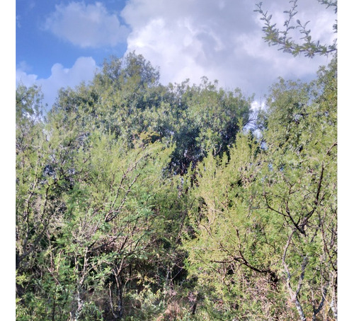 Se Vende Terreno De 1.25 Ha, Con Vista A Las Sierras (excelente Oportunidad) / Ubicación; Traslasierra, Cruz De Caña, Córdoba.