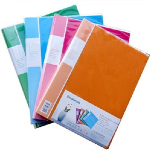 Carpeta A4 Con Fundas Transparentes | 20 Folios