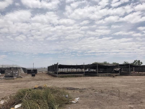 Imagen 3 de 13 de Terreno En Venta En Ejido El Aguila