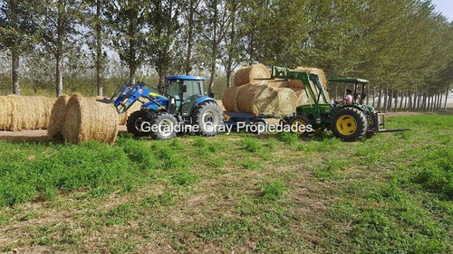 Campo En Venta De 70 Has Ubicado En Tratayen