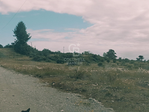 A Orilla De Carretera, Área Turística, Industrial.