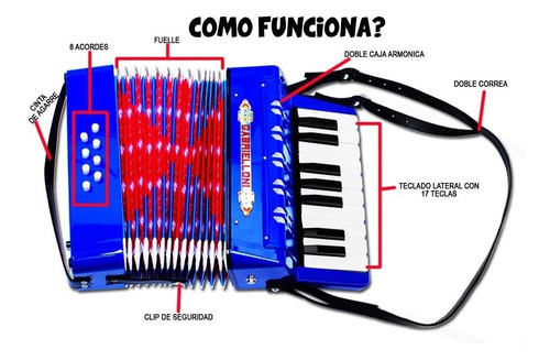 Acordeon Fabuloso Profesional Con 8 Botones Y 17 Teclas Toca
