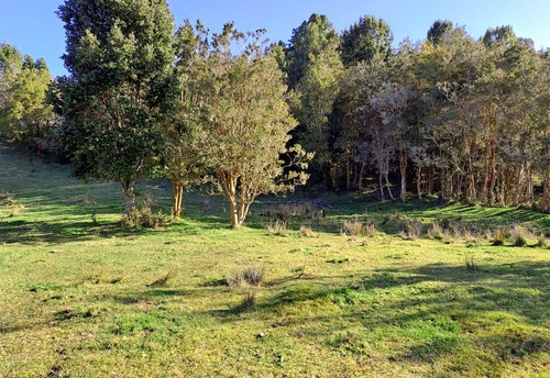 Parcela En Loteo Los Arrayanes