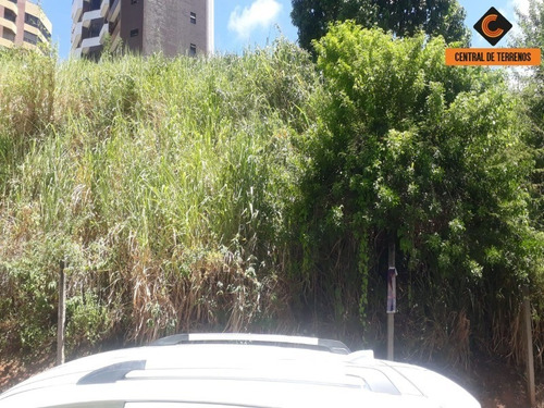 Imagem 9 de 11 de Terreno Para Empreendimentos - Te00431 - 69440812