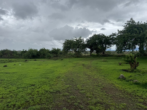 Terrenos Rusticos. A 20 Minutos De Oaxtepec.