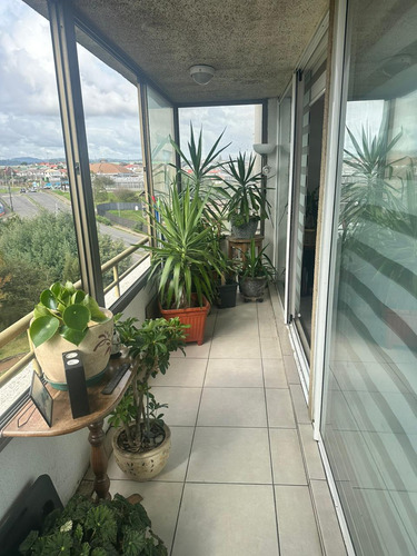 Impecable Departamento 1 Dormitorio, Lomas De San Sebastián