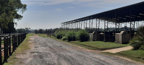 Venta Campo Haras San Andres De Giles