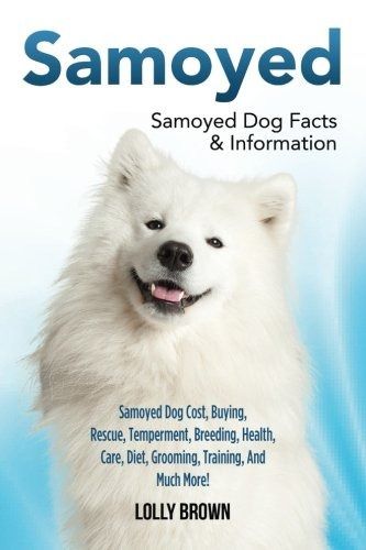 Samoyedo Perro Samoyedo Costo Compra Rescate Temperamento Cr