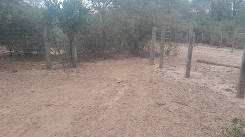 Vendo Finca En Tolloche (recibo Permutas)