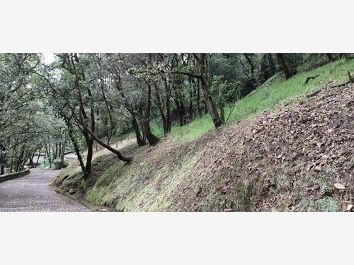 Imagen 5 de 8 de Venta Terreno 1 San Bartolo Ameyalco