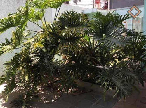 Sobrado Com 4 Dormitórios, 329 M² - Venda Por R$ 2.620.000,00 Ou Aluguel Por R$ 15.000,00 - Perdizes - São Paulo/sp - So8218