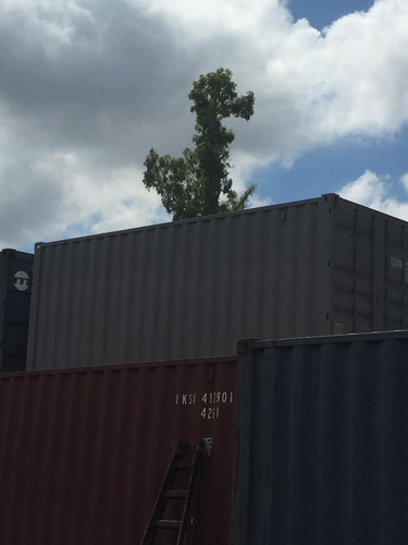 Containers Marítimos Contenedores Córdoba 40' Hc Usados
