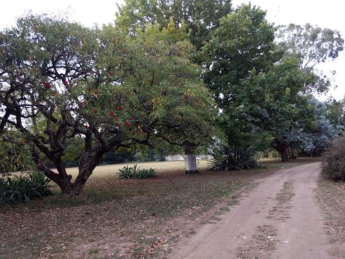 Imagen 10 de 14 de Casa De Campo - Quinta Macondo --- Alojamiento Y Eventos