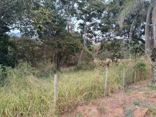 Lote De 1000 M2