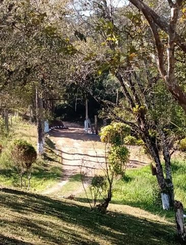 Imagem 3 de 15 de Cod 5997 - Sítio Com 20 Alqueires Em Miracatu-sp - 5997