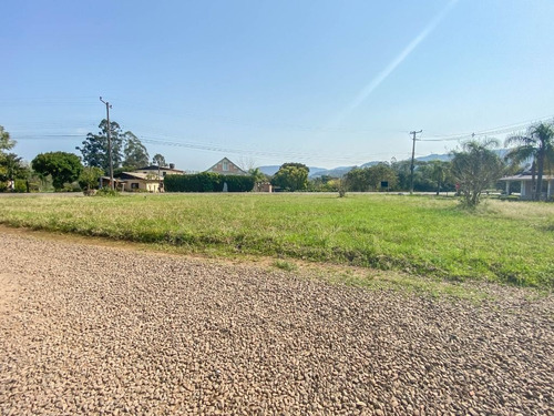 Imagem 6 de 8 de Terreno À Venda, 1545 M² - Picada Cara - Feliz/rs - Te0453