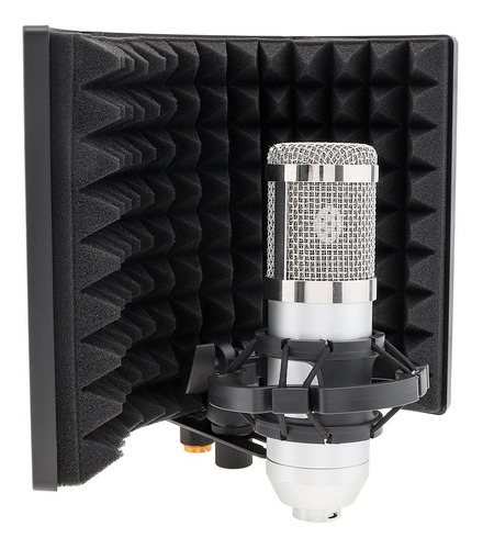 Pantalla Aislante Para Micrófonos Estudio Viper Rf02 Filtro
