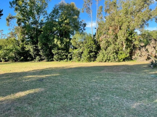 Imagen 4 de 30 de Casa Quinta Sobre Lote De 5.000 M2 La Gloria De La Peregrina