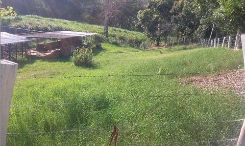 En Venta Finca Ideal Para Ganadería, Cría De Caballos Entre Otras Actividades.