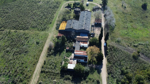 Venta Bodega O Deposito 10 Hectareas, Toledo Chico